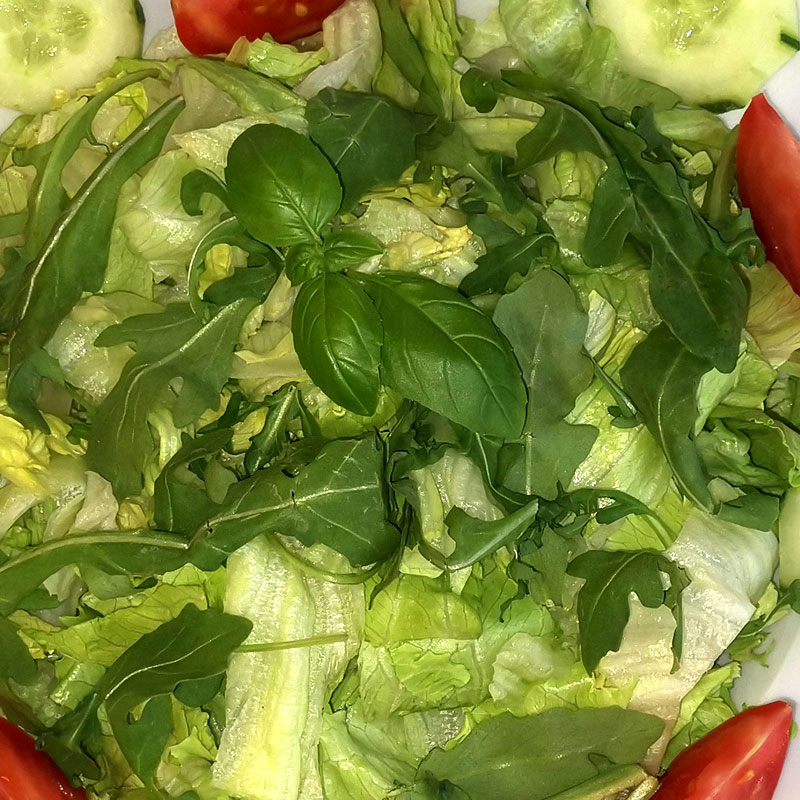 Insalata Mista: Gemischter Salat, Gurken und Tomaten